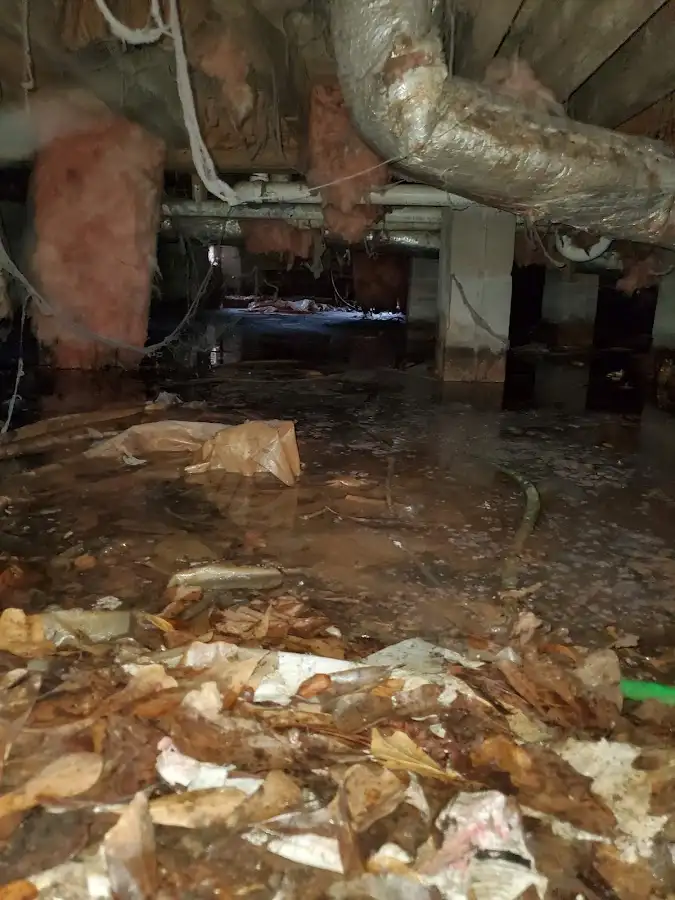 Crawl space flood assessment for Leak Detection & Repair in Southgate